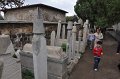 10 e_DSC_0260